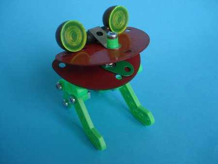 wide mouth
                      frog